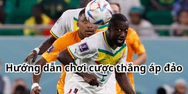 Hướng dẫn chơi cược thắng áp đảo