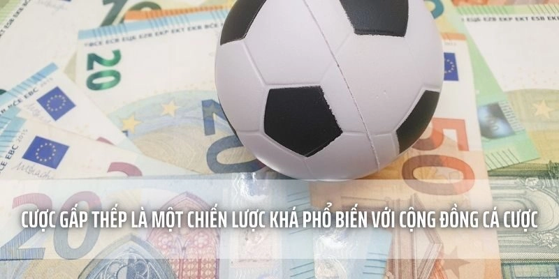 Cược Gấp Thếp là một chiến lược khá phổ biến với cộng đồng cá cược