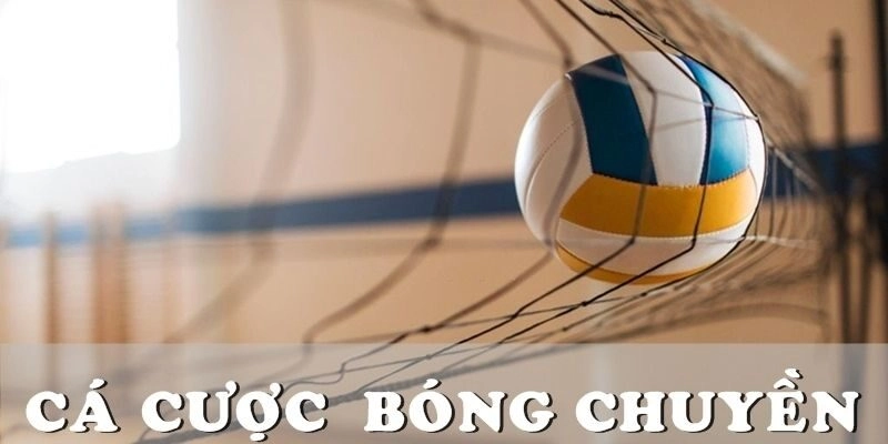 Luật lệ về đặt cược bóng chuyền