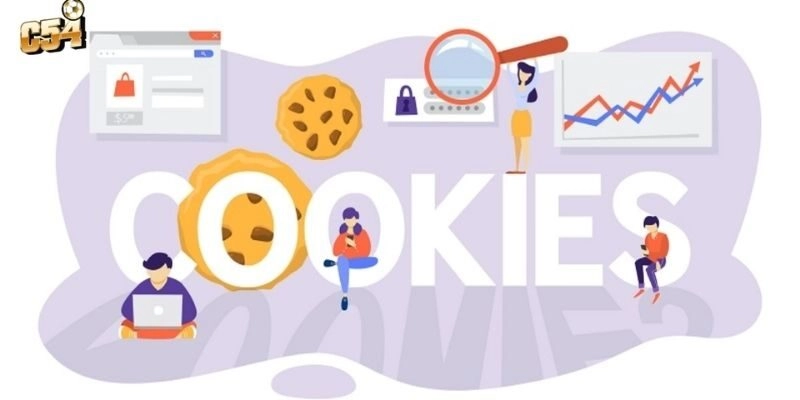 Một số phiên bản khả thi được áp dụng 